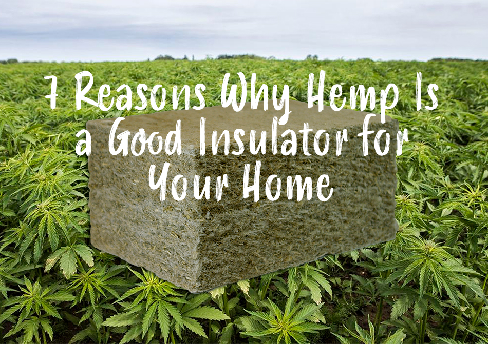 7 Reasons Why Hemp Is a Good Insulator for Your Home