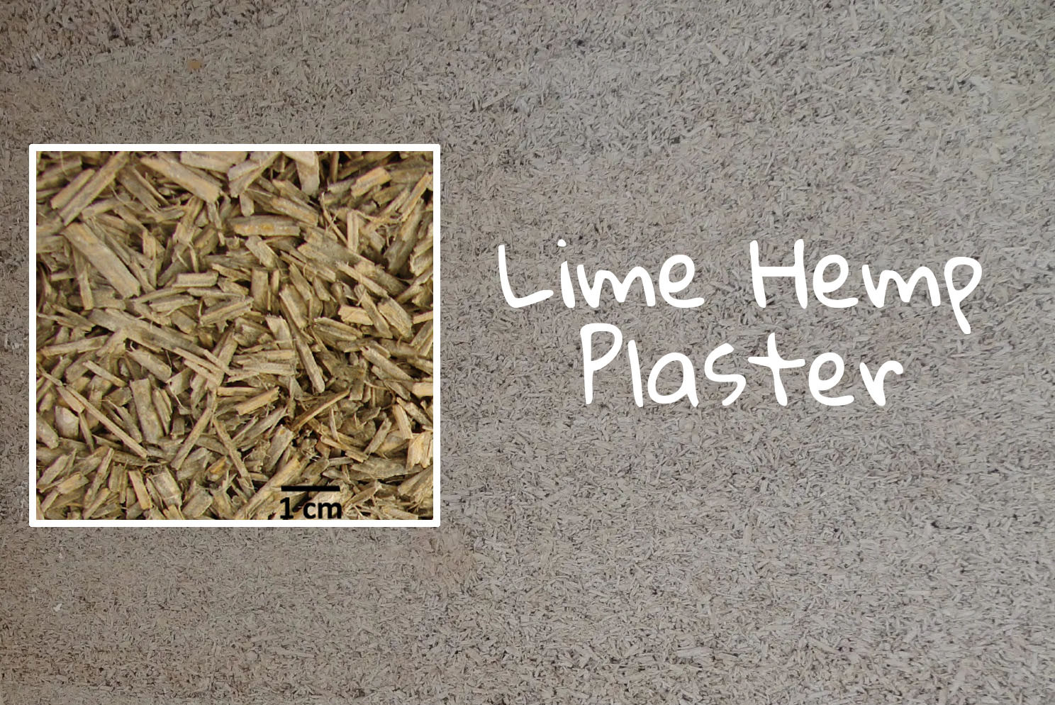 What is Lime Hemp Plaster? Everything you need to know